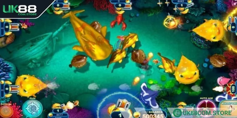 Theo dõi các chú cá xuất hiện trên màn hình